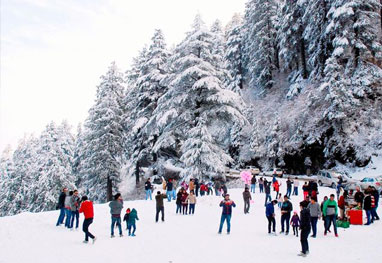 Shimla Manali Tour Packages From Delhi | Trip To Himachal From Delhi | Shimla Tour Packages From Delhi